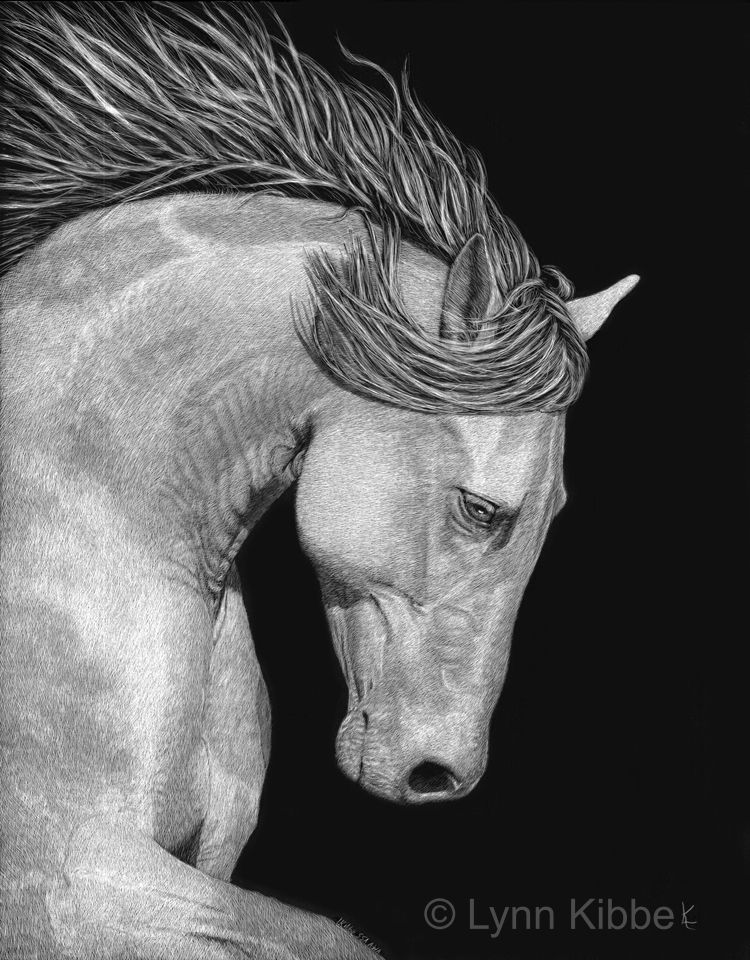 Andalusian 72 960w